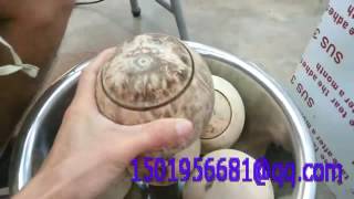 coco jar coconut opener