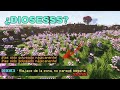 Los Dioses echan de la zona a Vegetta y Alexby (Se enojan) | Karmaland 5