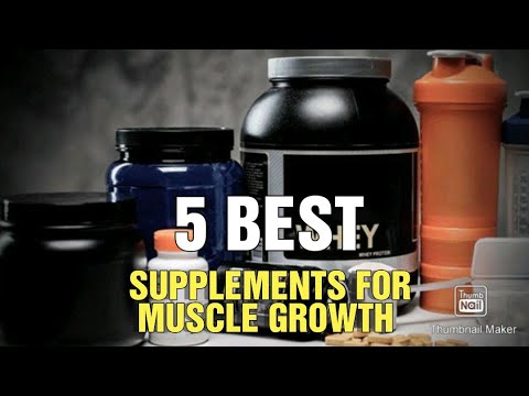 Top 5 Best Supplements For Muscle Gain And Strength For Strength ...