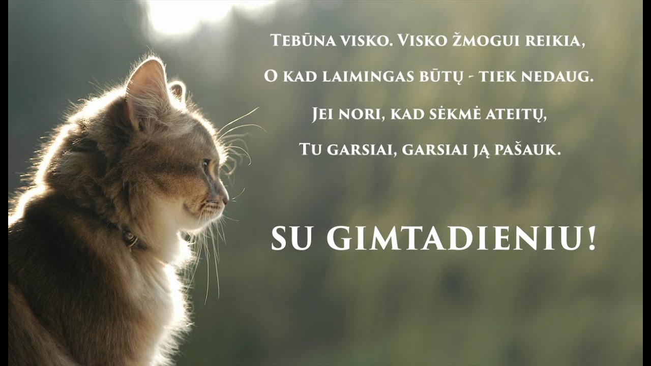 Sveikinimas Su Gimimo Diena 笙ｫ笙ｬ笙ｪ Youtube