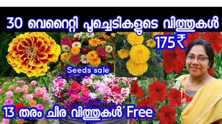 വിത്തുകൾ Free /30 പൂച്ചചെടികളുടെ വിത്തുകൾ  sale//Seeds Free/seeds sale/Jasmin's world /