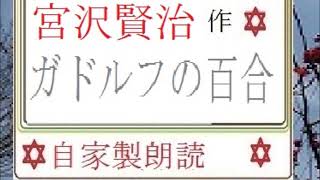 「ガドルフの百合,」,作,　宮沢賢治,※近代文学を　読む,※イグサ