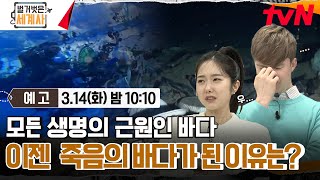 [예고] 모든 생명의 근원인 바다, 이젠  죽음의 바다가 된 이유는? #벌거벗은세계사 EP.90