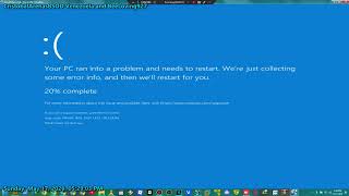 Tiny10 has BSOD VM