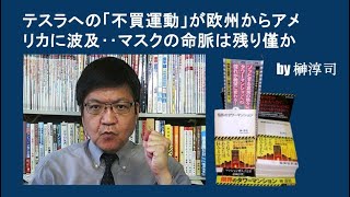 テスラへの「不買運動」が欧州からアメリカに波及‥マスクの命脈は残り僅か  by榊淳司