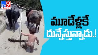 Plowing the farm .. Three year's old boy video trending on social media - TV9