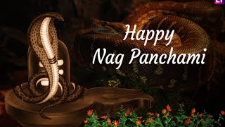 nag panchmi ka status| happy nag panchmi 2024| nag panchmi status video| nag devta status