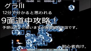 【何度も】グラIII 初心者9面道中攻略！【やらされるから・・】