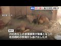 “多頭飼育崩壊”で脱走した野犬が養鶏場の鶏を襲い208羽が死ぬ　野犬を取り押さえた男性は腕を噛まれてけが