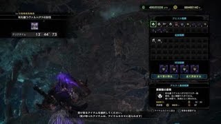 【MHWI】死を纏うヴァルハザク　貫通ヘビィボウガン