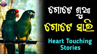 ଗୋଟେ ଶୁଆ  ଗୋଟେ ସାରି | Odia Moral Story | Odia Motivational Story | Odia Gapa Kahani | Kahani Amara