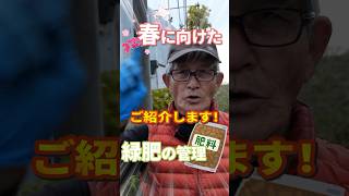 家庭菜園や農園の春野菜栽培に向けた緑肥の管理方法！土壌改善に活用できる麦など緑肥の冬越しの秘訣！【農家直伝】#shorts