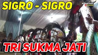 TRI SUKMA JATI- Sigro Sigro||EBEG PURBALINGGA||LIVE 27/02/2024 Bedagas,Pengadegan