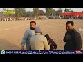 🔴live ustad amir shaheed memorial kabaddi match 10 02 2025