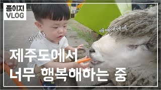 제주도에서 19개월 아이와 함께 가기 좋은 곳ㅣ현실여행ㅣ쭘이지부부