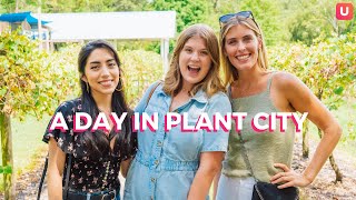 How To Spend A Day In Plant City | Tampa Bay Neighborhood Guide