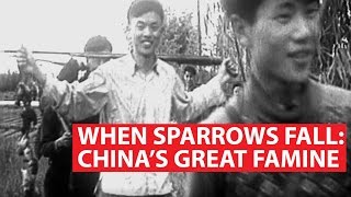 When Sparrows Fall: China's Great Famine | Asian Century