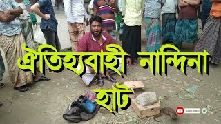 Travel Nandina Bazaar-এক নজরে ঐতিহ্যবাহী নান্দিনা হাট বাজার-Nandina Haat Bazar Jamalpur Bajar Video