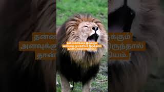 முயற்சி வேண்டும் #short #shorts #trending #viral #youtube #video #viralvideo #motivation #tamil