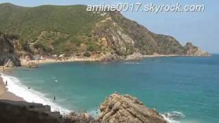 skikda la carriére