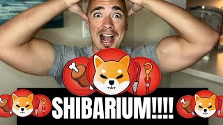 SHIBARIUM!!! FINALLY!!! SHIBA INU!!! SHIB!!!