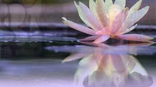 Being The Best You Can Be Meditation - by The Reach Approach