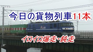 JR貨物 2021/05/19 濃霧の浜名湖三番鉄橋 大谷川踏切 新田踏切 11本の貨物列車