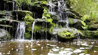 4K Relaxing Waterfall Nature Sounds Calming Sound of Water Forest Relaxation