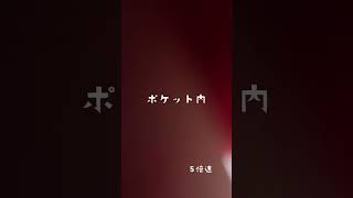 【海上釣堀 淡路島じゃのひれ 釣り】人生2匹目の青物 カンパチ 後編【SEINASU】