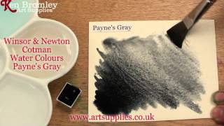 Winsor \u0026 Newton Cotman paint Payne's Gray 465