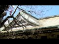 滋賀県旧武徳殿 剣道場建築の調査　外観1 butokuden kendojo in shiga prefecture exterior 1