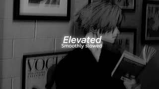 Elevated - Shubh || Slowed Reverb || Guddi Sikhran De Jatt Di