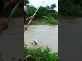 Di saat sungai banjir kami mancing ikan lele besar #fishing #fish #mancing #nature