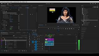 Bài Giảng Hướng Dẫn Sử Dụng Adobe Premiere Pro Cơ Bản I  Phần 02