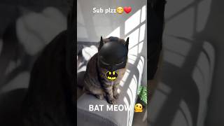 The Bat-Cat Meme That Changed the Internet Forever