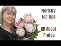 Top Tip For Florists - All About  Proteas