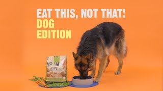 Eat This Not That: Dog Edition | Chewy