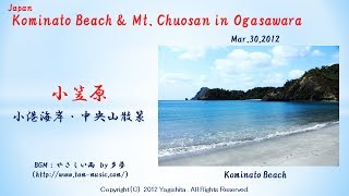 2012年小笠原 小港海岸・中央山散策 Japan:Kominato Beach \u0026 Mt. Chuosan in Ogasawara