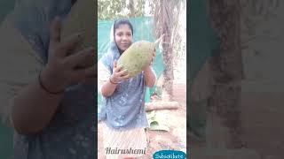 ആദ്യമായി ചക്ക കണ്ട അവസ്ഥ #shorts #villagevlog #comedy funny