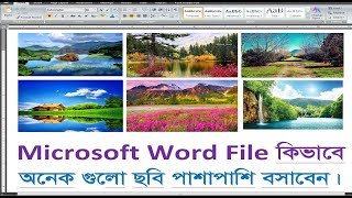 MS word picture resize, আপনি কি ওয়ার্ড ফাইলে অনেক ছবি সঠিক জায়গায় বসাতে পারছেন না।