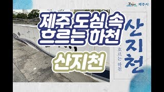 제주 도심속 흐르는 하천 [산지천]