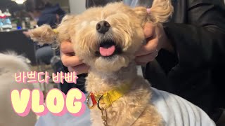 [아프니까 청춘인 vlog.] 병가 쓴 직장인의 말 많은 영상일기 | 병원 기록 | 롯데 호텔 서울 결혼식 | 단골집 감자탕 뿌시기