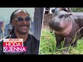 Snoop Dogg on Moo Deng: 'That is a pretty hippopotamus'