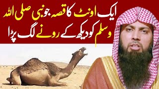 1 Camel Ka Qissa Jo Nabi Saw Ko Deikh Kar Ronay Lag Para | Qari Sohaib Ahmed Meer Muhammadi