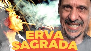 O TABACO BRASILEIRO QUE VICIOU O MUNDO - EDUARDO BUENO