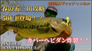 【バス釣り】50UP登場！？春の五三川攻略で連発連打！！