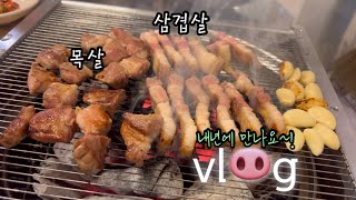 [먹세vl🐽g] 2024년 마지막 일상 vlog😱 (브라운돈까스,총각칼국수,롯데마트,도조스시,아비꼬,카레우동,고공,포건곤감리,얼큰쌀국수,우거지소고기국밥,호두과자,하나정육식당)