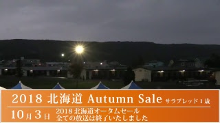 2018北海道オータムセール 生中継 3日目