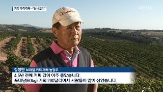 [지금 세계는] 브라질 커피 생산 큰 폭 증가…“가격 하락에 농사 포기” | KBS 뉴스광장 | 20190730