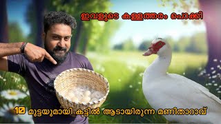 കുറച്ച് ദിവസമായി താറാവിനെ കാണുന്നില്ല. അനേഷിച്ചപ്പോൾ കണ്ടത് The duck has been missing for a few days